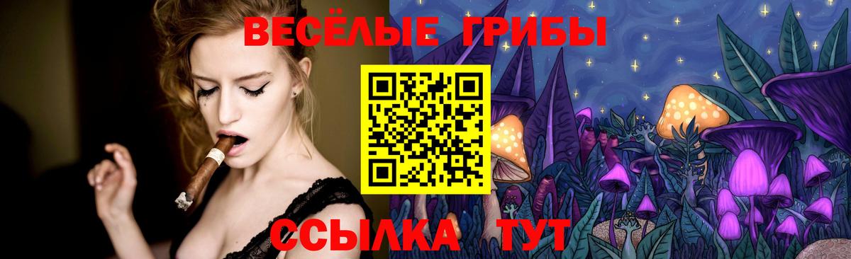 Псилоцибиновые грибы мицелий  Вход с VPN  Псилоцибиновые грибы прущие грибы  Михайловск 